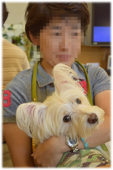 b0242873_01460698.png