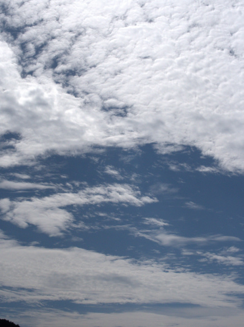 秋の空　吉野川の朝_d0042474_21031458.jpg