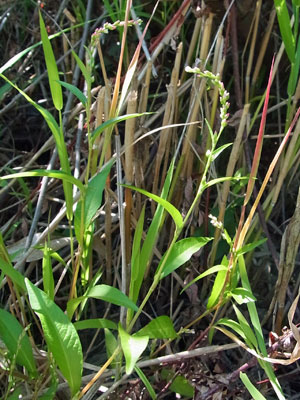 f0083977_10185654.jpg