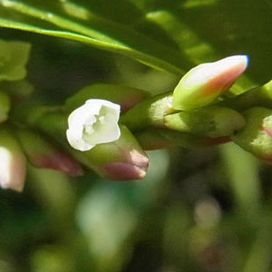 f0083977_10202250.jpg