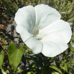 f0083977_10245523.jpg
