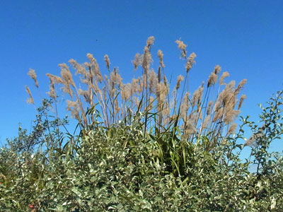 f0083977_1025033.jpg