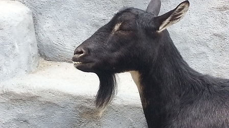 f0228680_9395033.jpg
