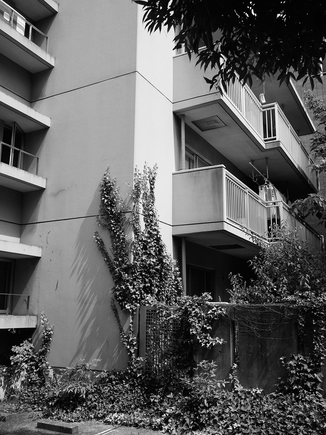f0121181_5295814.jpg