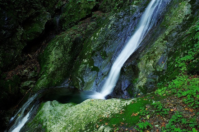 c0324983_00313141.jpg