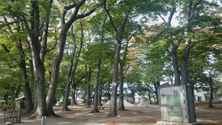 d0129083_13435593.jpg