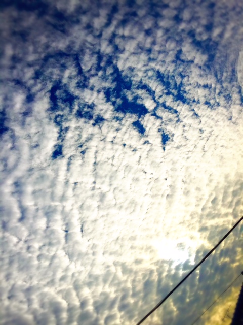 e0303194_5552274.jpg