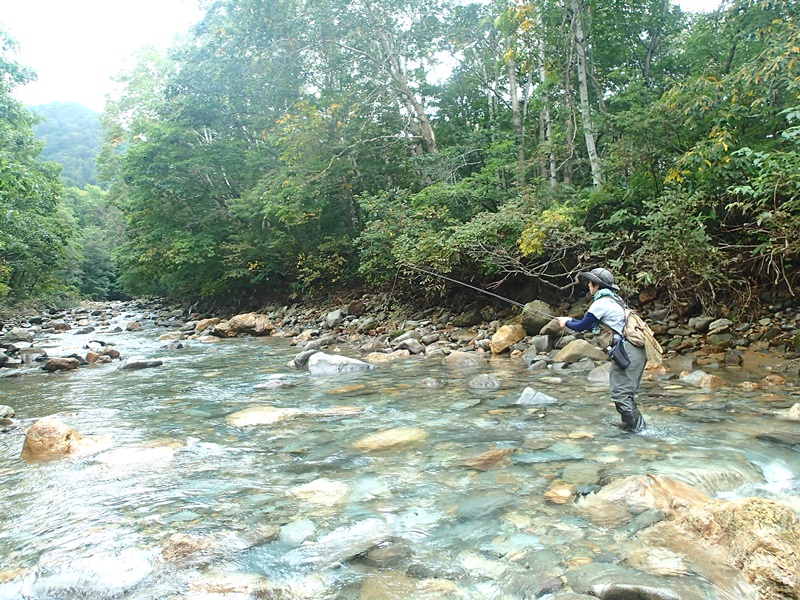 f0129994_19313998.jpg