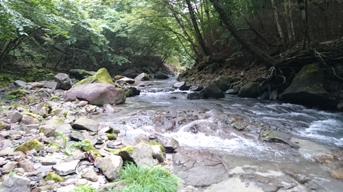b0172805_3202760.jpg