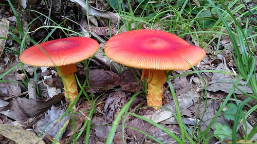 b0172805_326464.jpg
