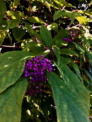 e0328909_14285282.jpg