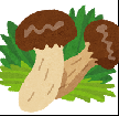 a0267710_171930100.png