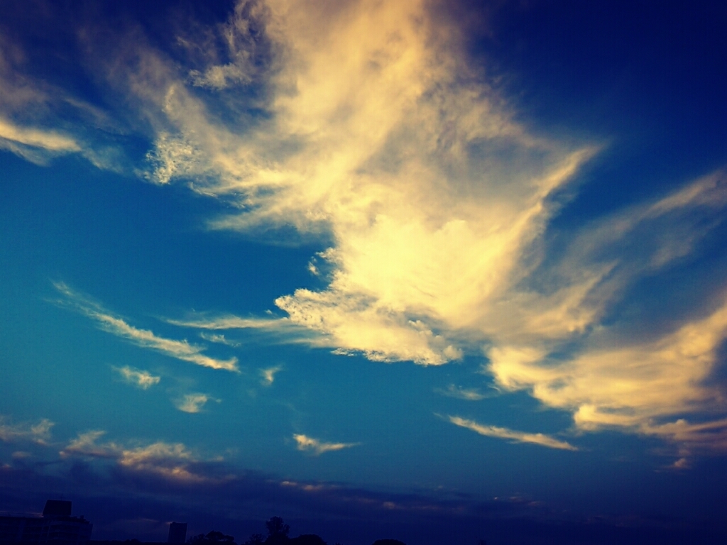 d0021510_17190927.jpg