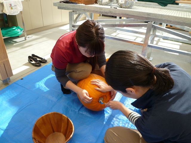 e0336214_1638151.jpg