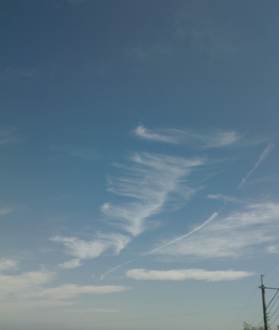 c0097620_20414633.jpg