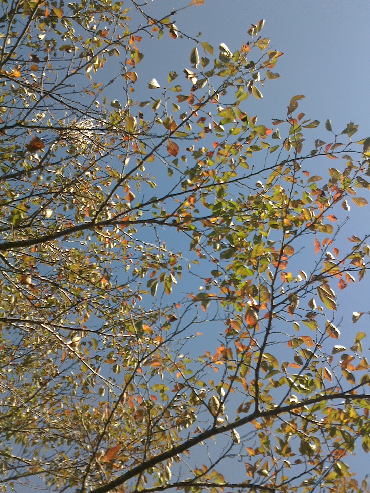 c0097620_2042062.jpg