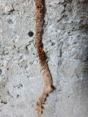 e0345125_18212835.jpg