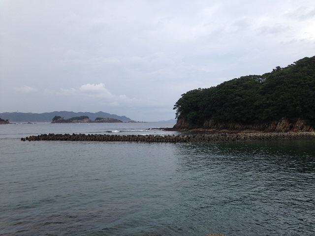 徳島・高知旅（徳島の未体験ゾーンへ）_e0303726_13125820.jpg