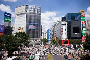 f0180726_855235.jpg