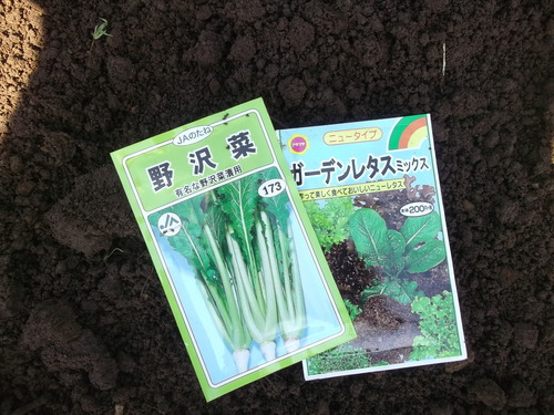 ソラマメの定植場所..._b0137932_1527269.jpg