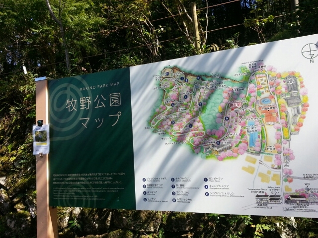 c0330749_20084782.jpg