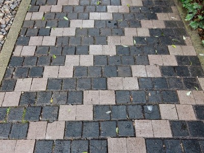 e0326953_1356399.jpg