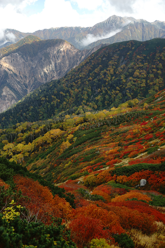 錦秋絶景山歩♪　東・西鎌尾根から笠ヶ岳　3泊4日　(2)_f0016656_981517.jpg