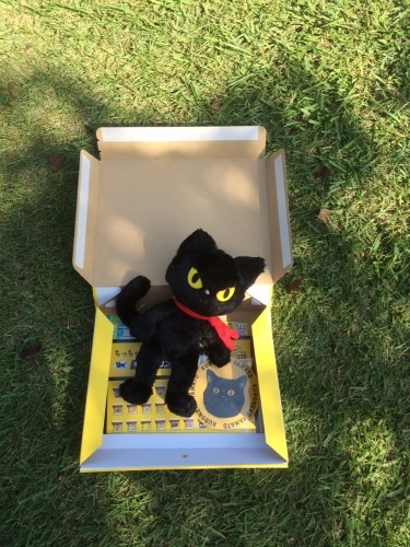のら猫クロッチ meet クロネコ ★ 新宿駅_f0193056_14213932.jpg