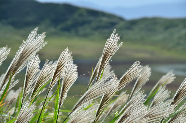 草千里へ_b0170969_21135125.jpg