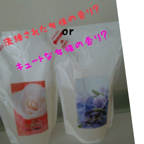 国際宇宙ステーションあらわる・・・か???_f0152875_10484551.jpg