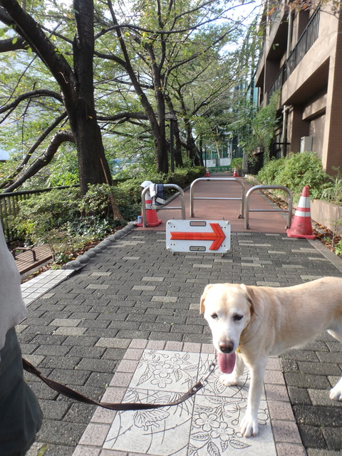 f0052277_0122489.jpg