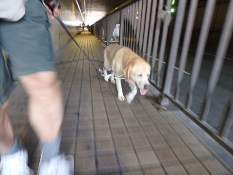 f0052277_024033.jpg