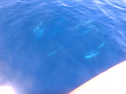 f0052277_0283070.jpg