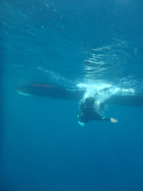 f0052277_0351270.jpg