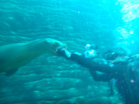 f0052277_036877.jpg