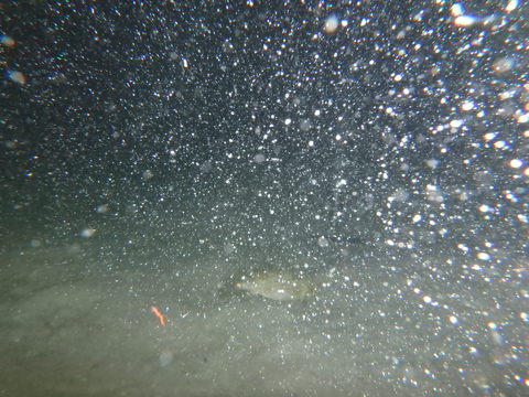 f0052277_049386.jpg