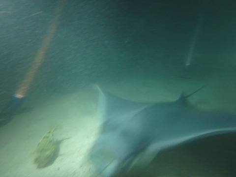 f0052277_0595186.jpg