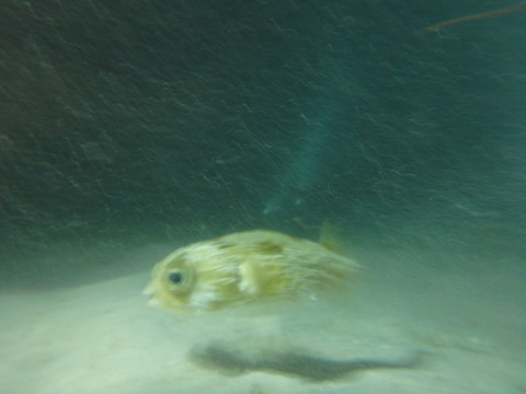 f0052277_13299.jpg