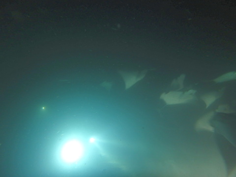 f0052277_153236.jpg