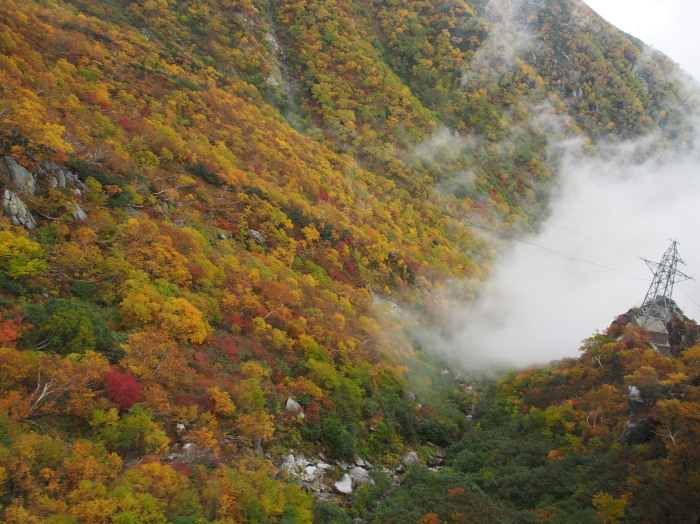 木曽駒ケ岳。_c0197578_1220531.jpg