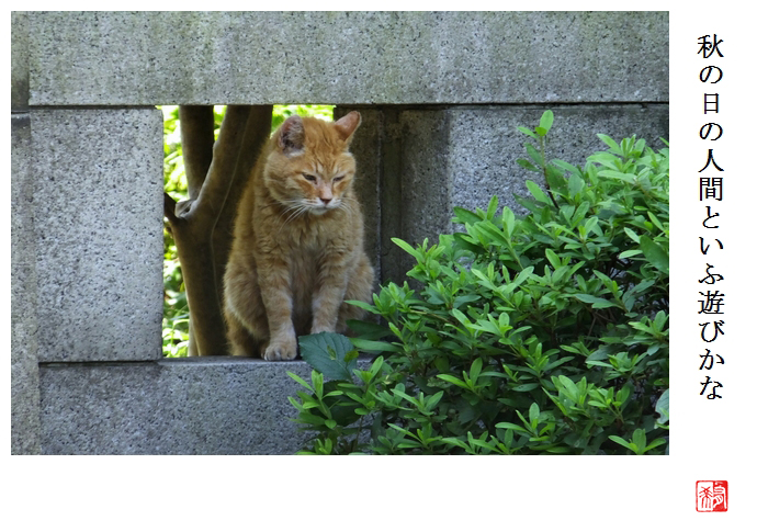 展示_a0248481_22444538.jpg