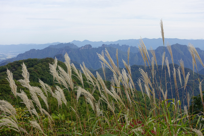 軽井沢日帰り_e0156083_10532424.jpg