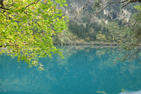 a0207588_12452490.jpg
