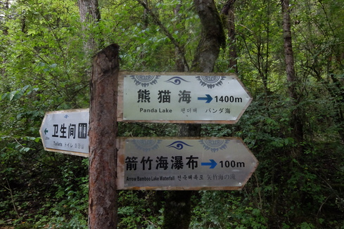 a0207588_12481173.jpg