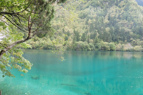 a0207588_137442.jpg
