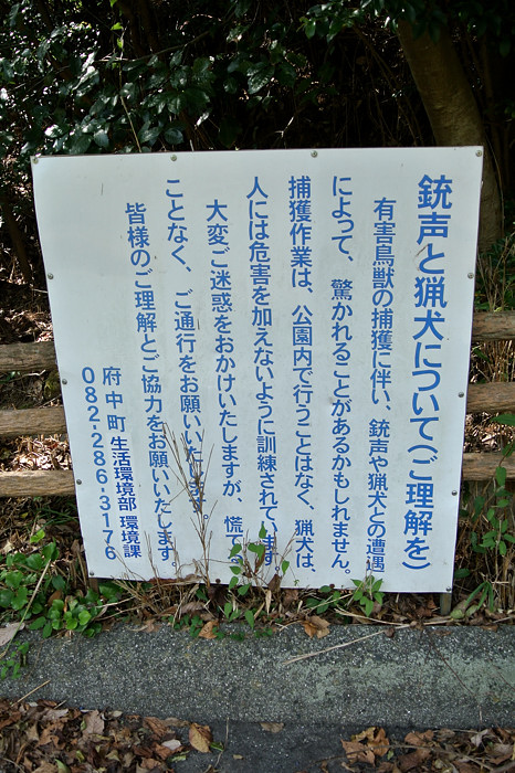 a0143491_22444769.jpg