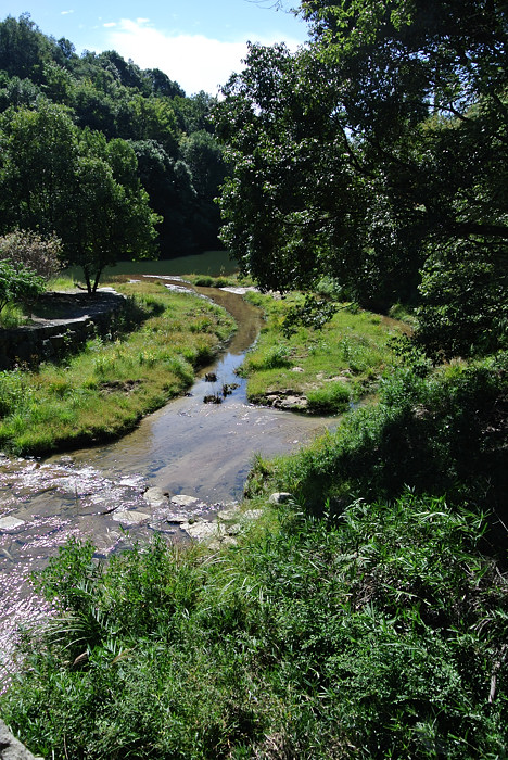 a0143491_22581211.jpg