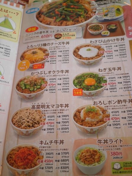 すき家のニンニクの芽牛丼 宝塚中筋店_c0118393_11282135.jpg
