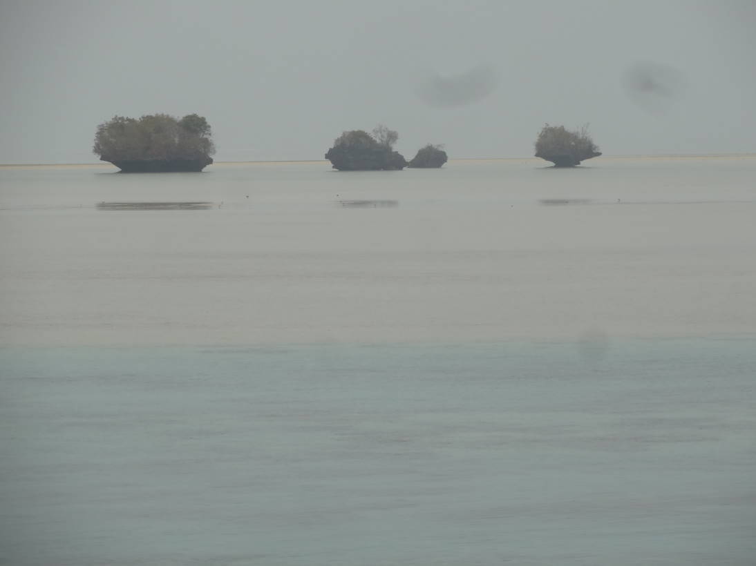 f0075595_01472080.jpg
