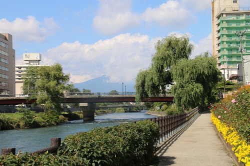 盛岡：開運橋＆花壇、岩手山＆さわや書店・・・４_c0075701_1155911.jpg